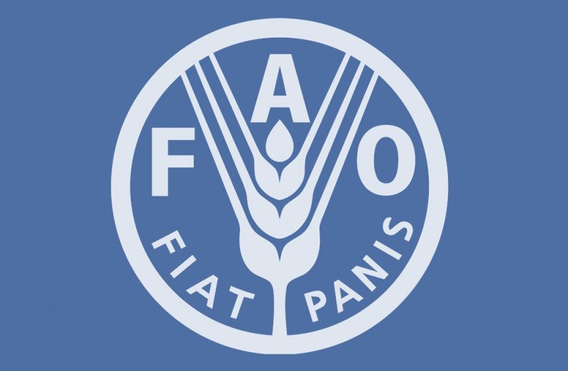 Какво представлява международната организация ФАО