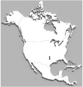 Коя форма на релефа в Северна Америка е означена с цифрата 1 на картата