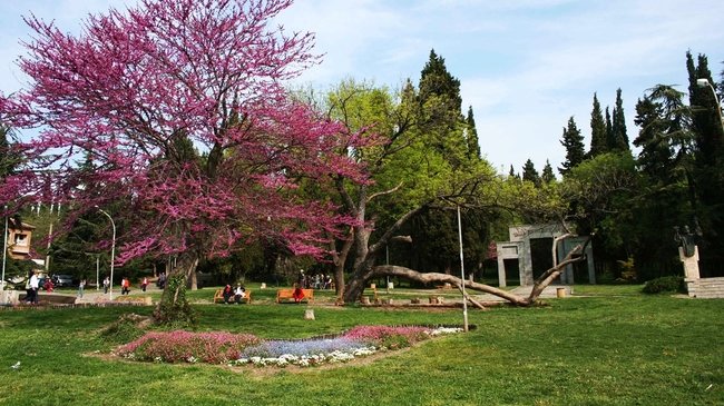 В кой град се намира красивият парк Аязмото