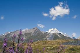 За коя планина в Европа се отнася характеристиката Втората по височина планина в Европа Простира се от запад на изток Млада по възраст с алпийски релеф Най-висок връх е Монблан        
