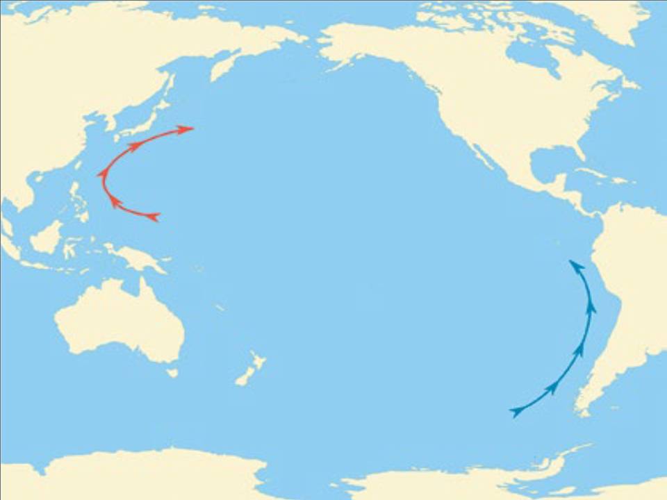 На фигурата са показани две от големите течения в Тихия океан Кои са те
