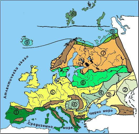 Къде в Европа се редуват от север на юг природните зони  на тундрата лесотундрата тайгата лесостепите степите и полу-пустинните области