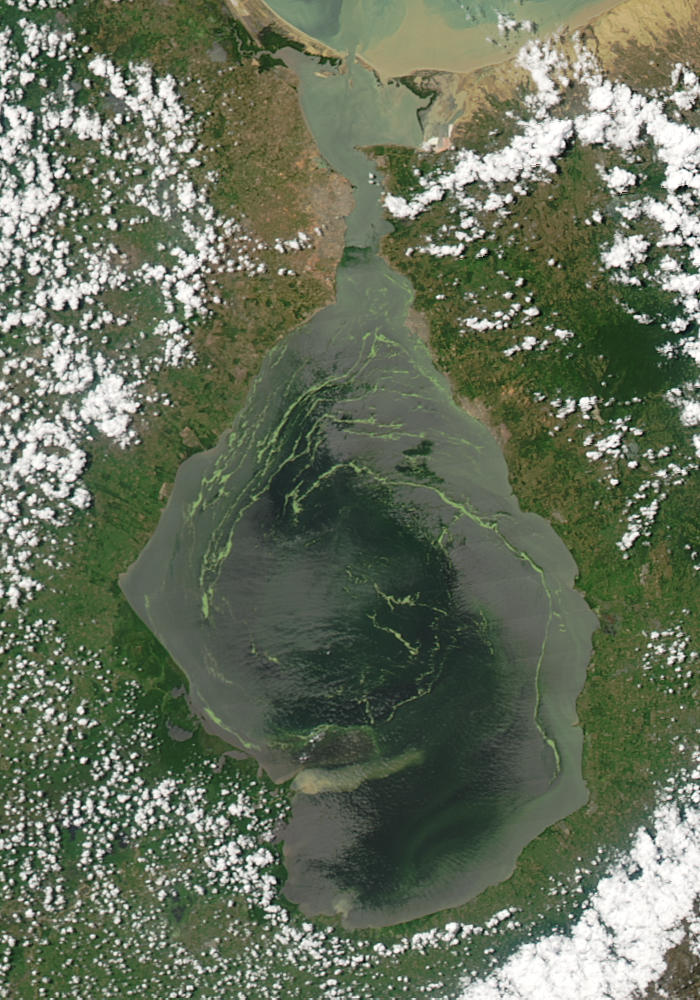Кое езеро е крайморско езеро-лагуна свързано е чрез плитък проток с Карибско море а дъното му и крайбрежието са много богати на нефт